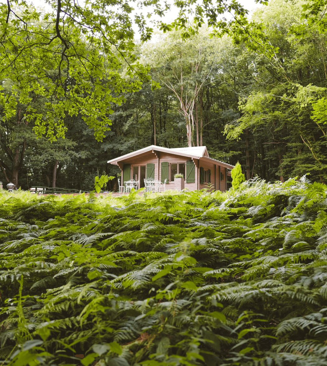 Le chalet entouré par les bois